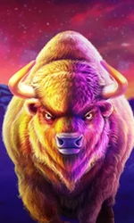 Buffalo King Megaways